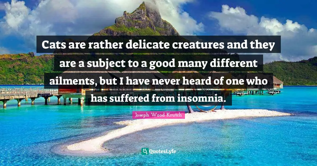 Cats are rather delicate creatures and they are a subject to a good many different ailments, but I have never heard of one who has suffered from insomnia.