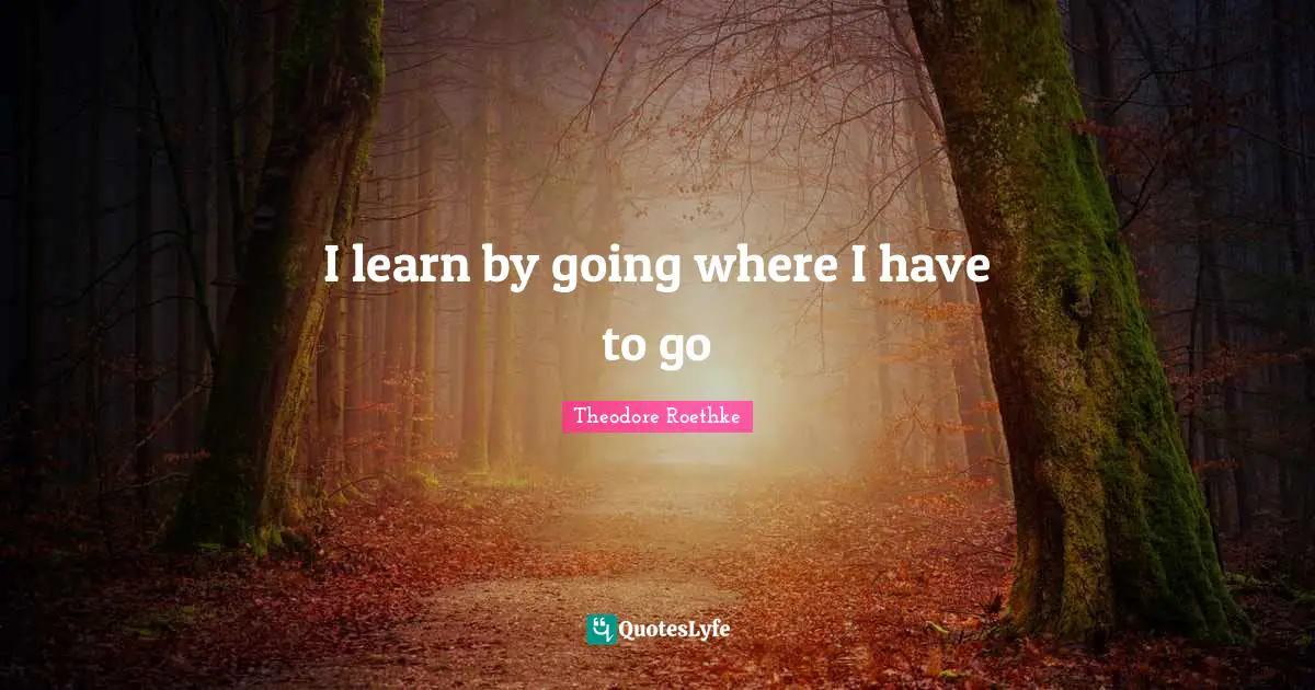 I learn by going where I have to go