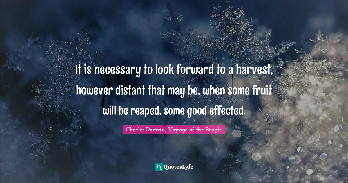 It is necessary to look forward to a harvest, however distant that may be, when some fruit will be reaped, some good effected.