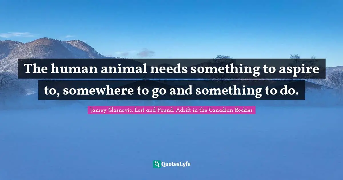 The human animal needs something to aspire to, somewhere to go and something to do.