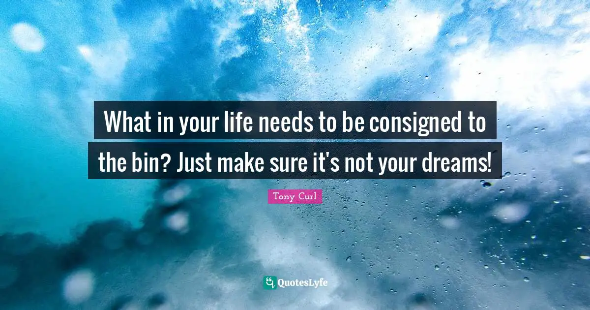 What in your life needs to be consigned to the bin? Just make sure it's not your dreams!