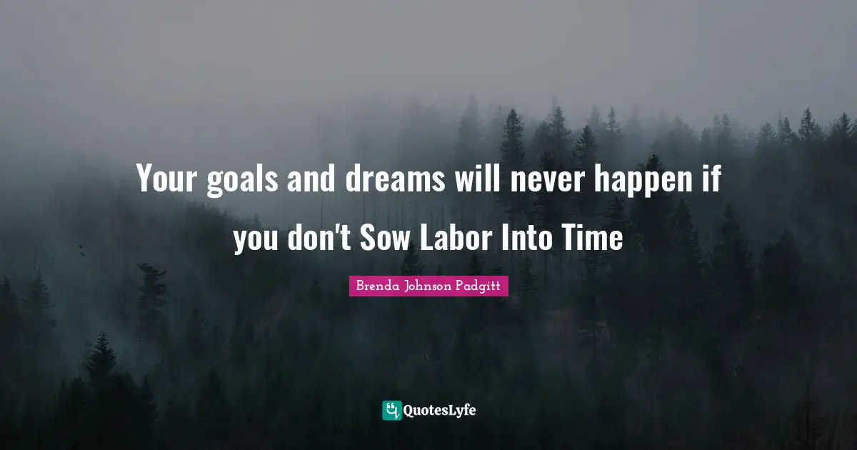 Your goals and dreams will never happen if you don't Sow Labor Into Time