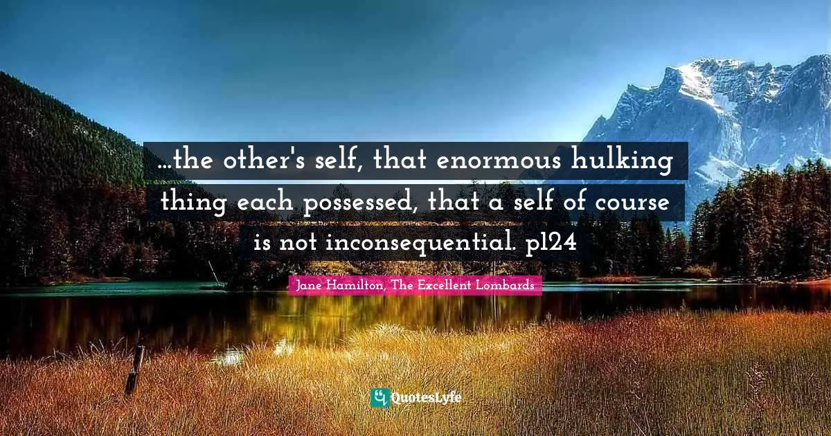 ...the other's self, that enormous hulking thing each possessed, that a self of course is not inconsequential. p124