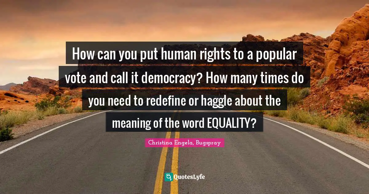 How can you put human rights to a popular vote and call it democracy? How many times do you need to redefine or haggle about the meaning of the word EQUALITY?