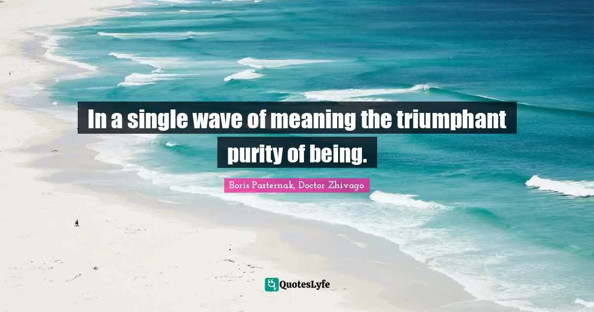 Singularity Quotes: "In a single wave of meaning the triumphant purity of being."