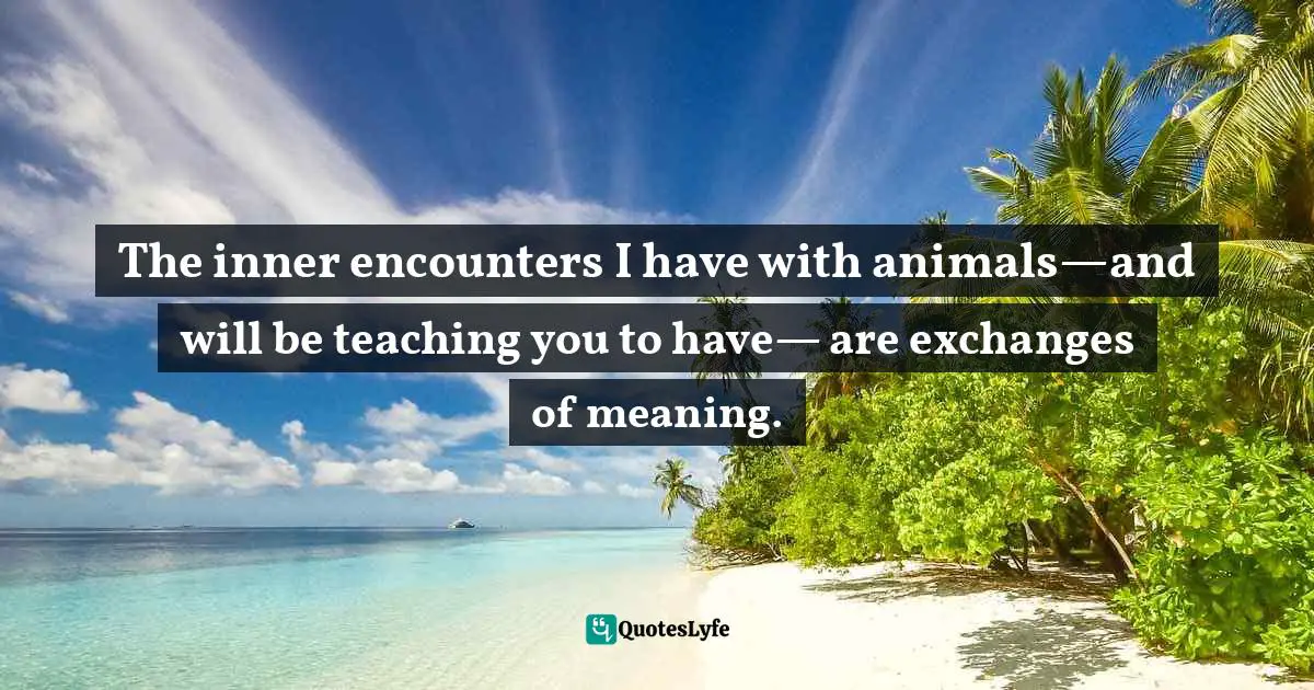 The inner encounters I have with animals—and will be teaching you to have— are exchanges of meaning.