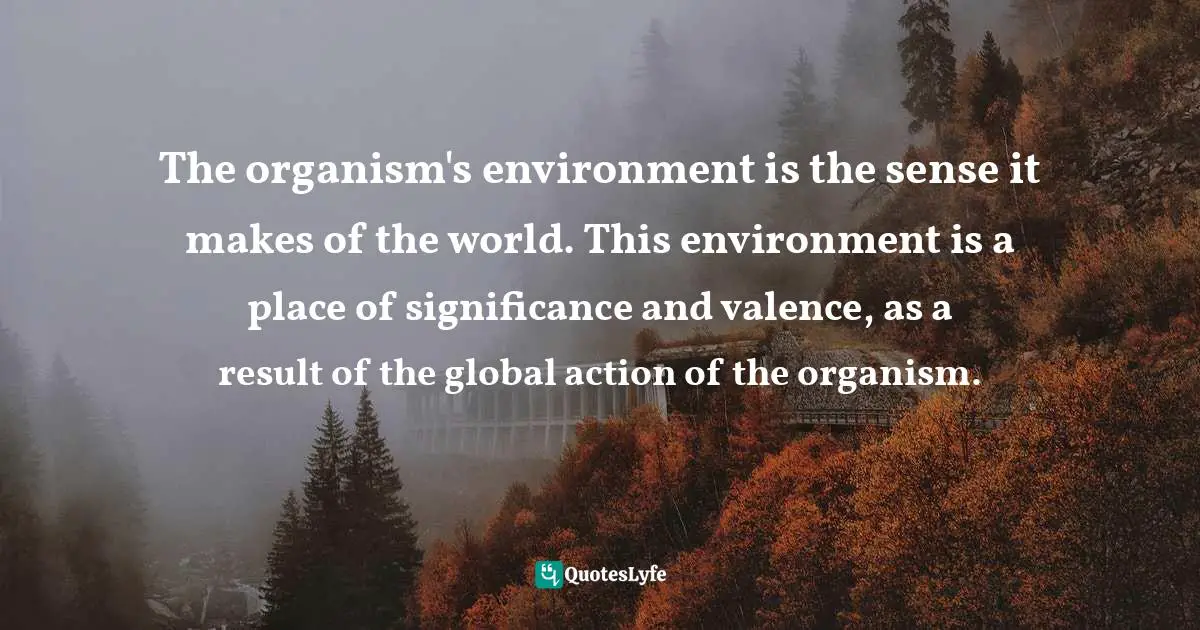 The organism's environment is the sense it makes of the world. This environment is a place of significance and valence, as a result of the global action of the organism.