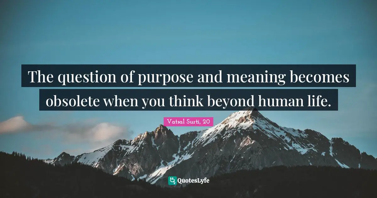 The question of purpose and meaning becomes obsolete when you think beyond human life.