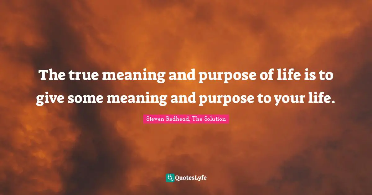 The true meaning and purpose of life is to give some meaning and purpose to your life.