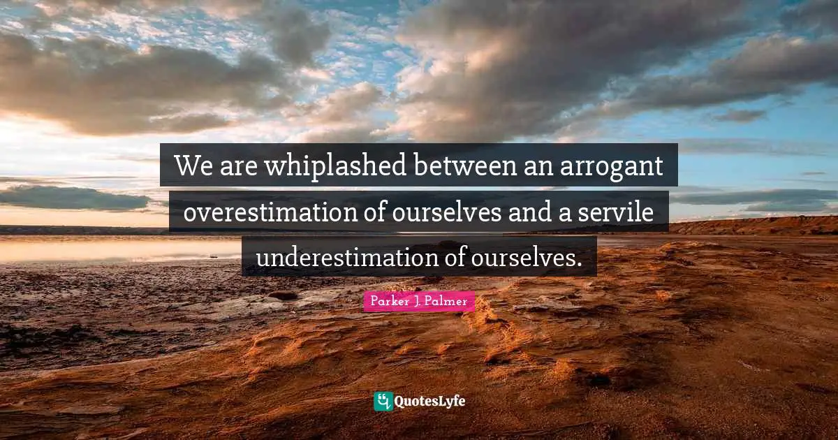 We are whiplashed between an arrogant overestimation of ourselves and a servile underestimation of ourselves.