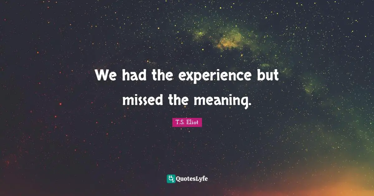 We had the experience but missed the meaning.