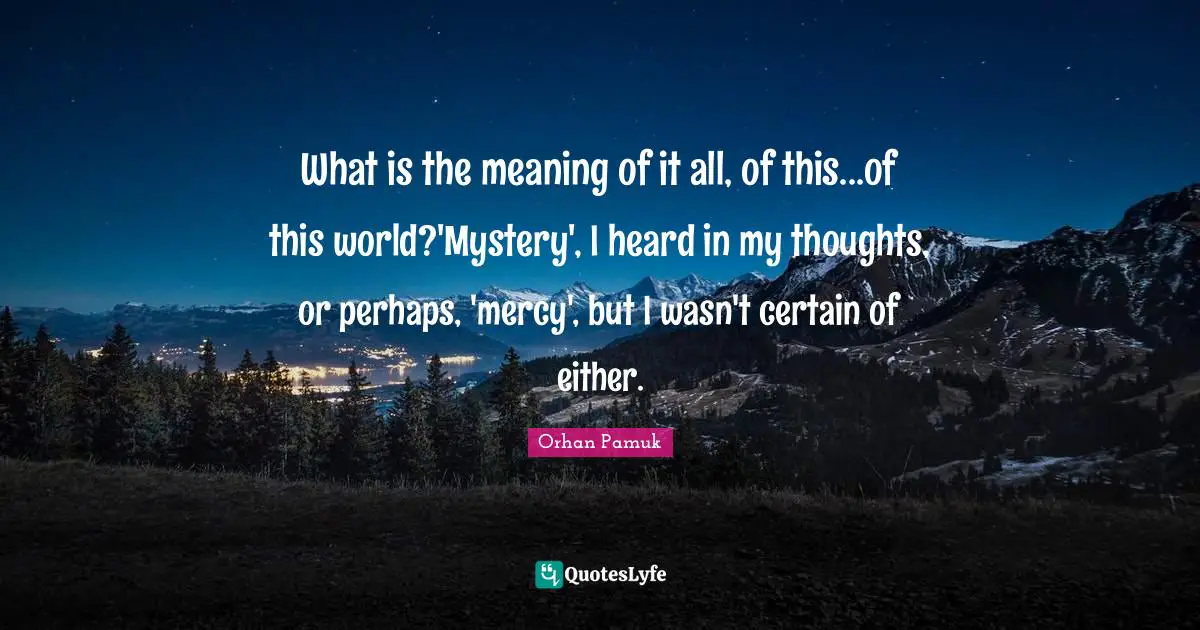 What is the meaning of it all, of this...of this world?'Mystery', I heard in my thoughts, or perhaps, 'mercy', but I wasn't certain of either.