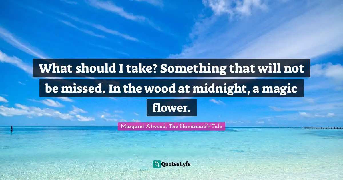 What should I take? Something that will not be missed. In the wood at midnight, a magic flower.