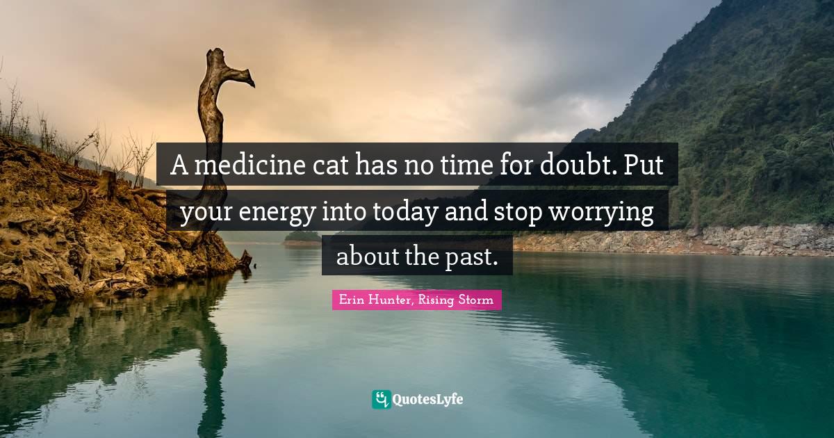 Firestar Quotes: "A medicine cat has no time for doubt. Put your energy into today and stop worrying about the past."