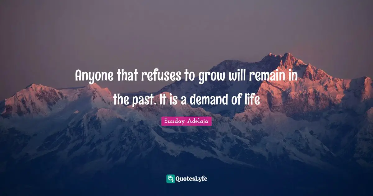 Best Refuses Quotes With Images To Share And Download For Free At Quoteslyfe 