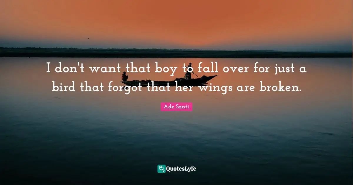 I don't want that boy to fall over for just a bird that forgot that her wings are broken.