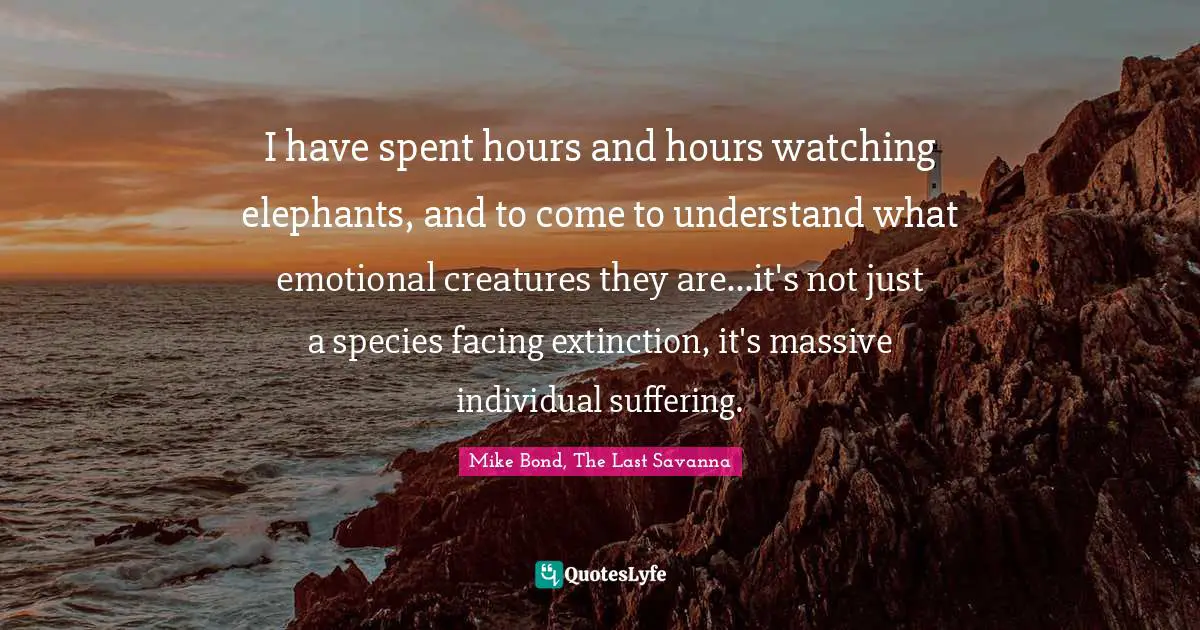 I have spent hours and hours watching elephants, and to come to understand what emotional creatures they are...it's not just a species facing extinction, it's massive individual suffering.
