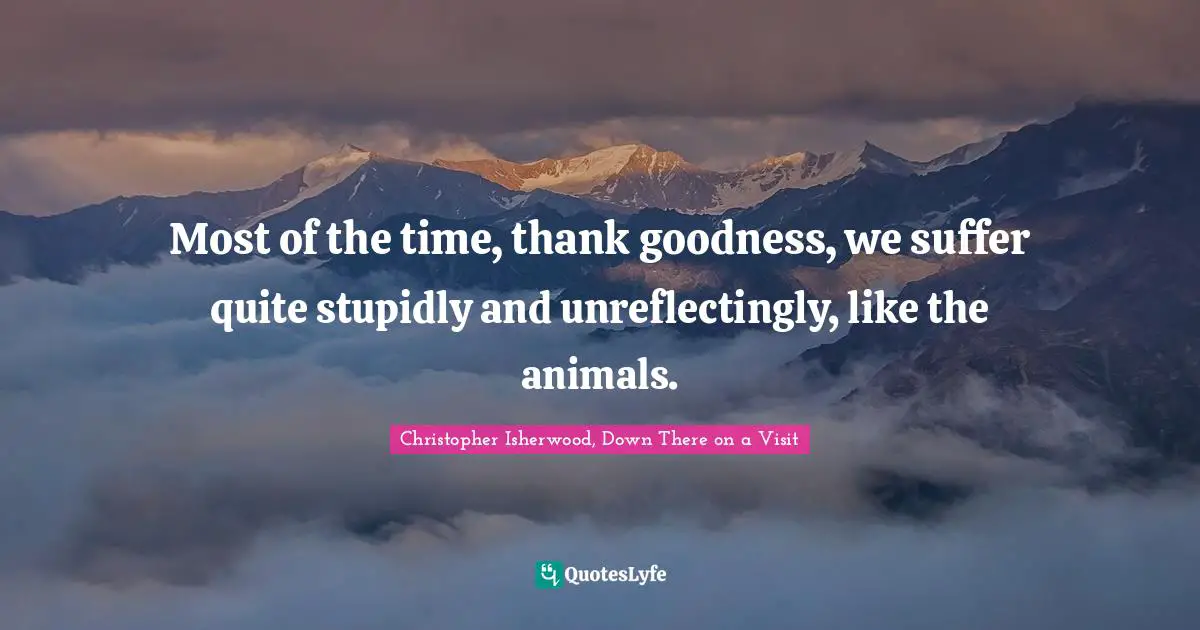 Most of the time, thank goodness, we suffer quite stupidly and unreflectingly, like the animals.