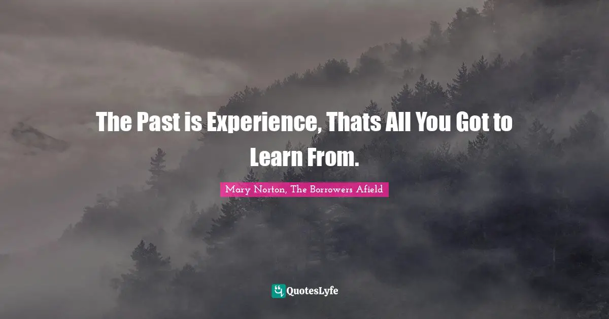 The Past is Experience, Thats All You Got to Learn From.