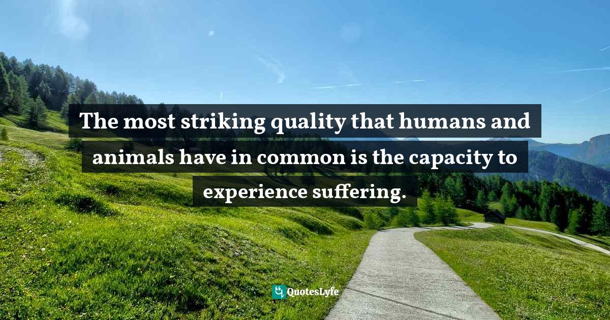 The most striking quality that humans and animals have in common is the capacity to experience suffering.