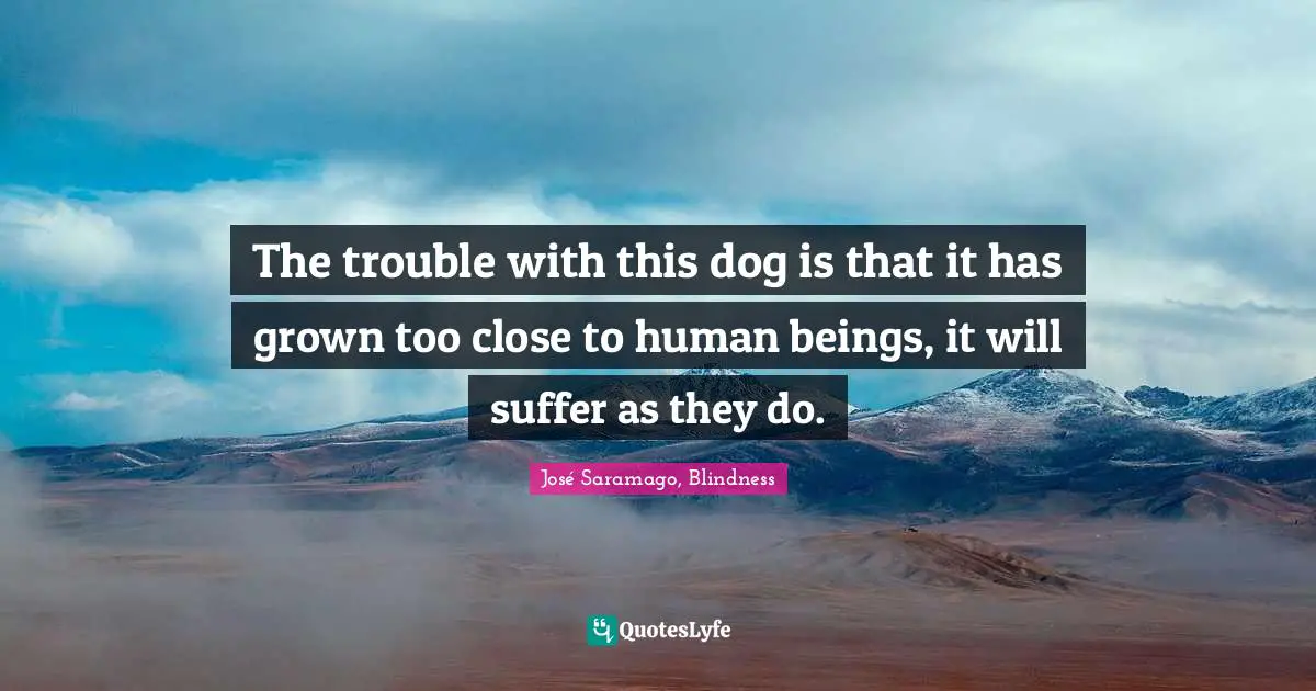 José Saramago, Blindness Quotes: The trouble with this dog is that it has grown too close to human beings, it will suffer as they do.