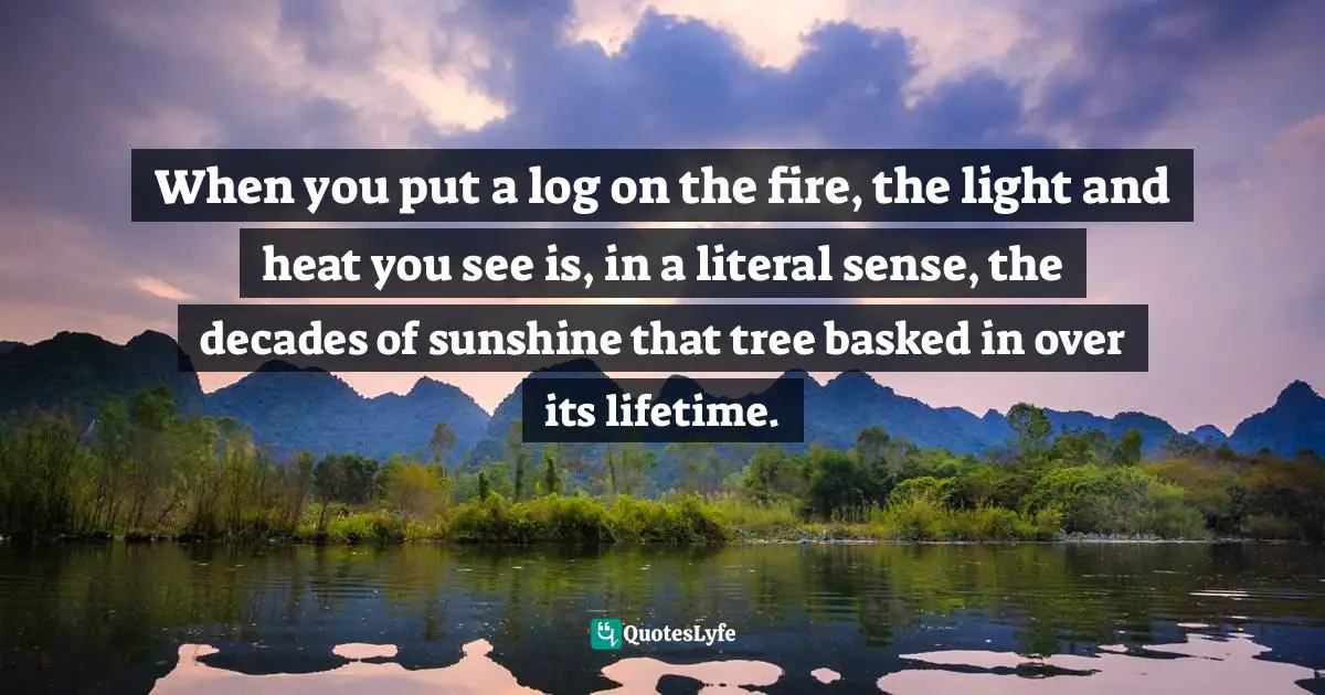 When you put a log on the fire, the light and heat you see is, in a literal sense, the decades of sunshine that tree basked in over its lifetime.