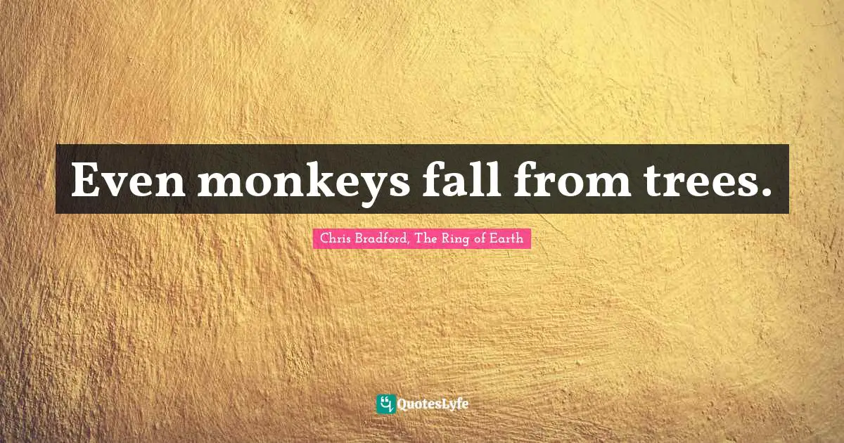 Even monkeys fall from trees.