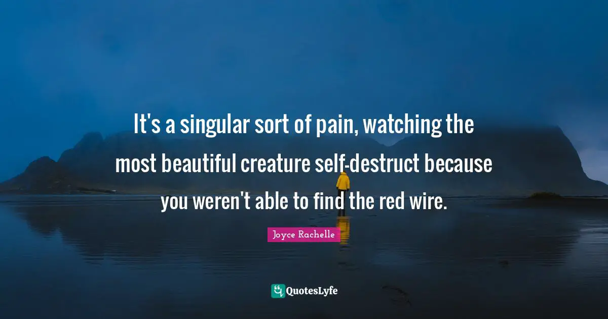 It's a singular sort of pain, watching the most beautiful creature self-destruct because you weren't able to find the red wire.
