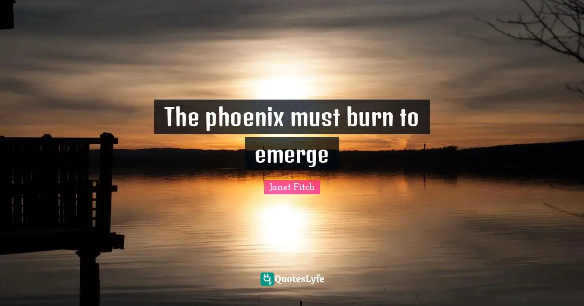 The phoenix must burn to emerge