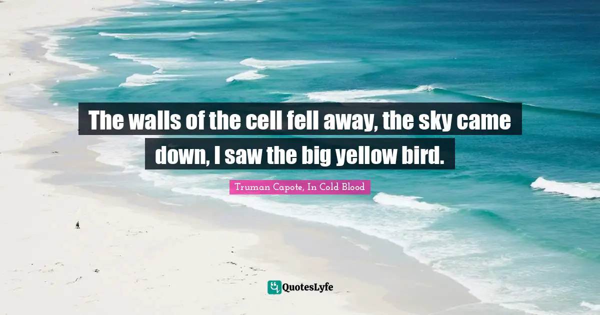 The walls of the cell fell away, the sky came down, I saw the big yellow bird.