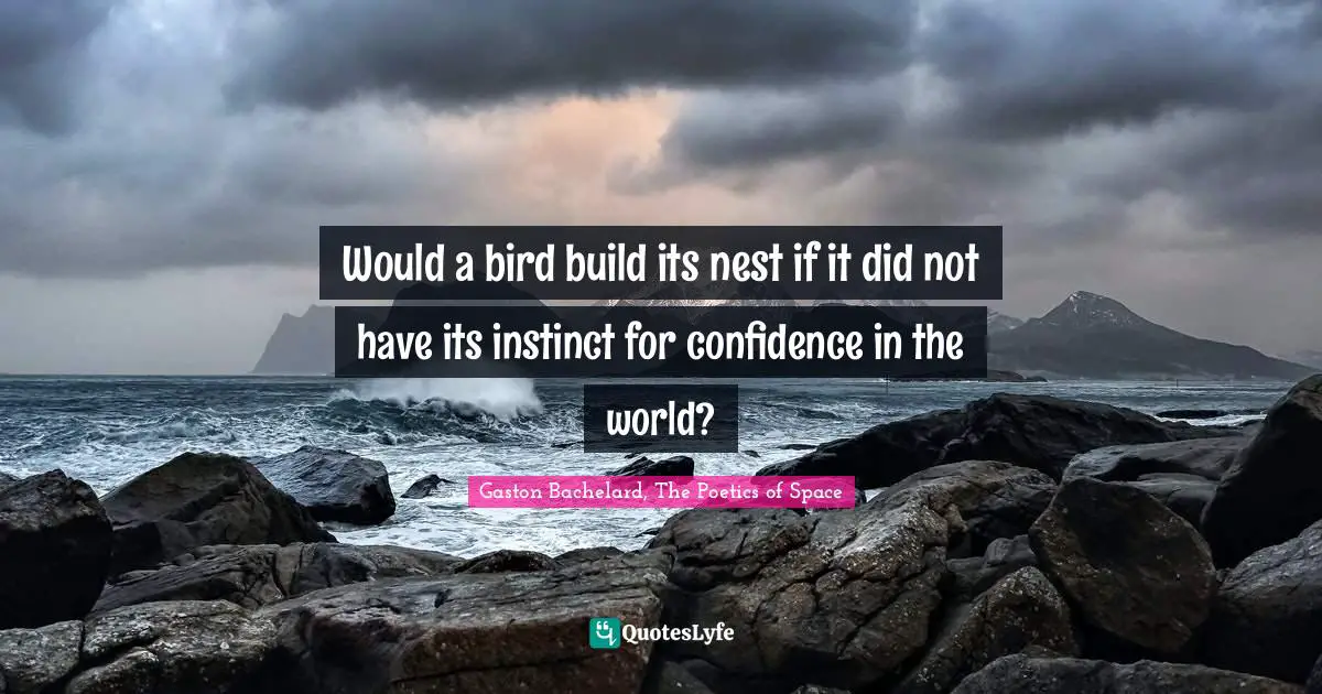 Would a bird build its nest if it did not have its instinct for confidence in the world?