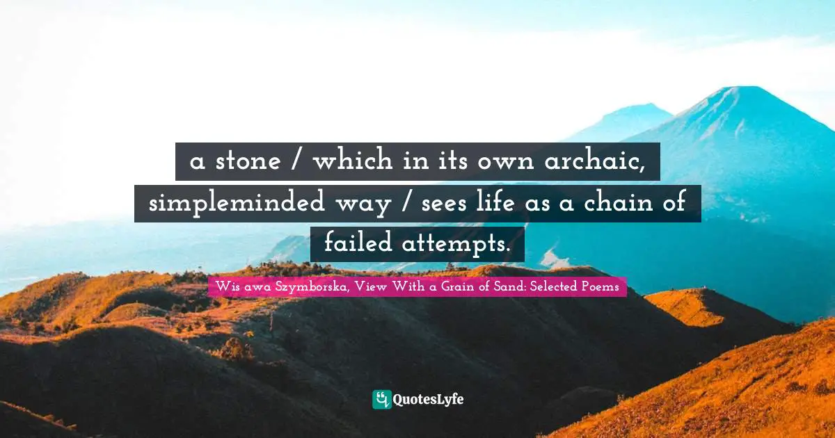 a stone / which in its own archaic, simpleminded way / sees life as a chain of failed attempts.