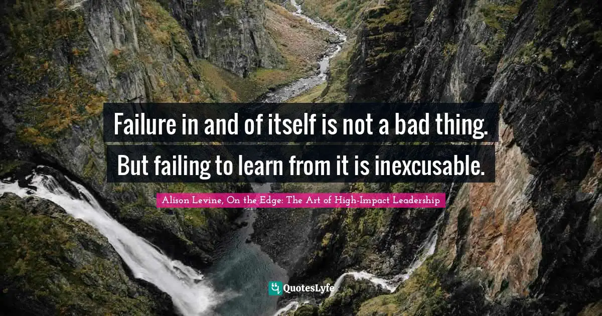 Failure in and of itself is not a bad thing. But failing to learn from it is inexcusable.