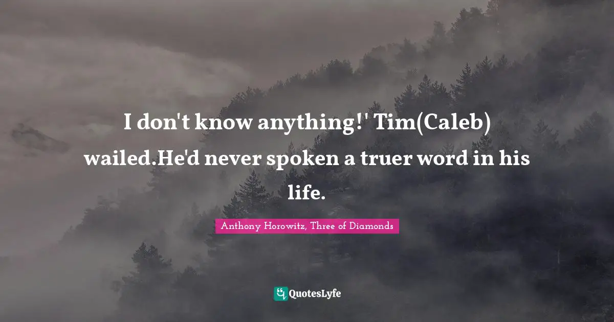 I don't know anything!' Tim(Caleb) wailed.He'd never spoken a truer word in his life.
