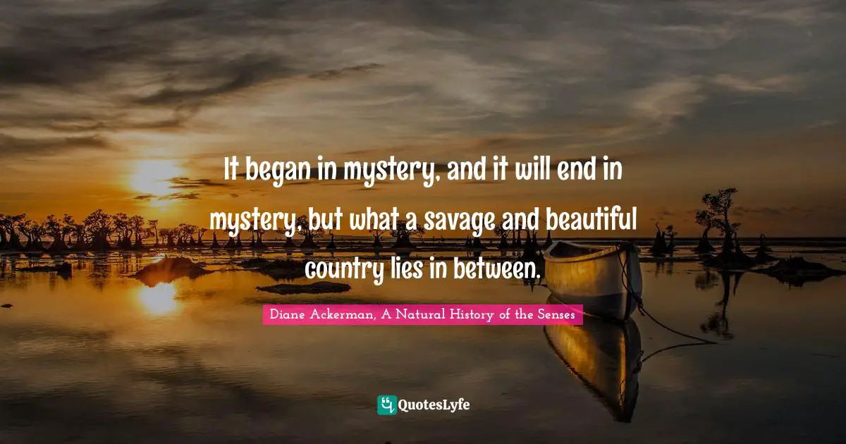 It began in mystery, and it will end in mystery, but what a savage and beautiful country lies in between.