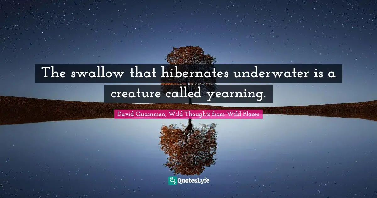 The swallow that hibernates underwater is a creature called yearning.