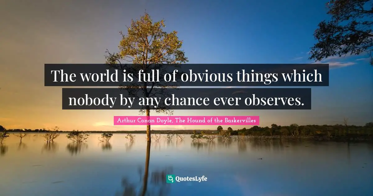 Novel Quotes: "The world is full of obvious things which nobody by any chance ever observes."