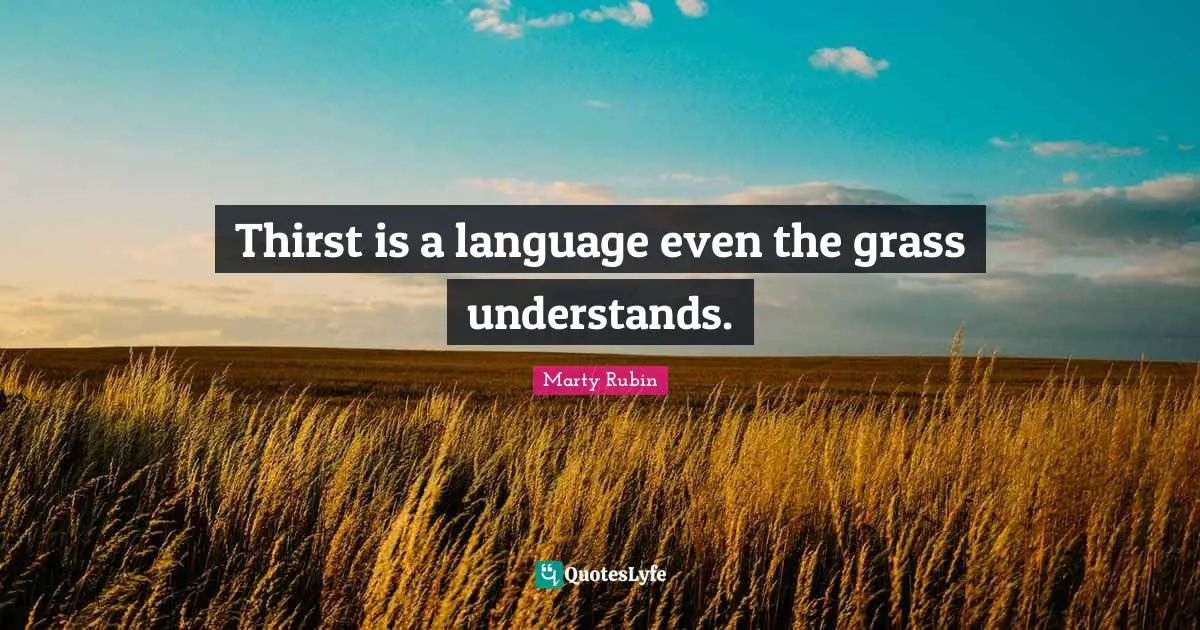 Thirst is a language even the grass understands.