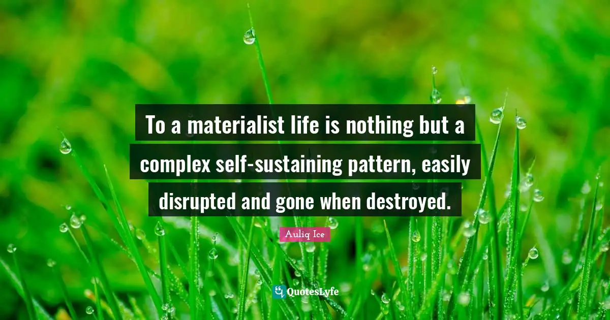 To a materialist life is nothing but a complex self-sustaining pattern, easily disrupted and gone when destroyed.