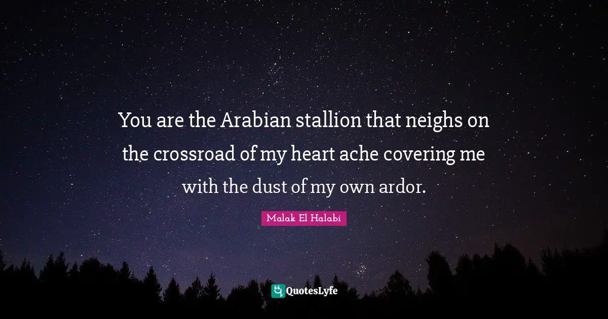 You are the Arabian stallion that neighs on the crossroad of my heart ache covering me with the dust of my own ardor.