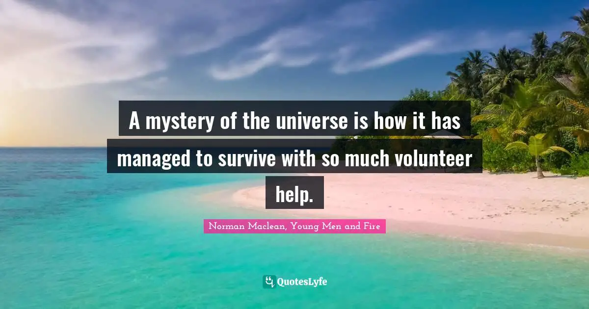 A mystery of the universe is how it has managed to survive with so much volunteer help.