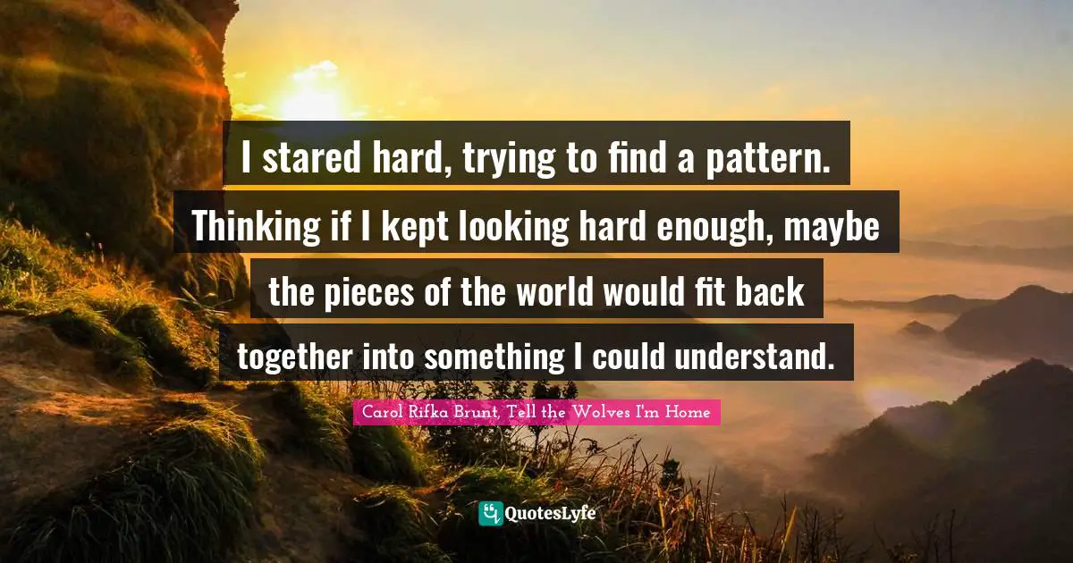 I stared hard, trying to find a pattern. Thinking if I kept looking hard enough, maybe the pieces of the world would fit back together into something I could understand.