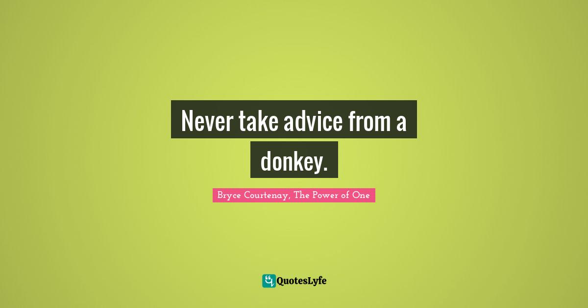 Never take advice from a donkey.