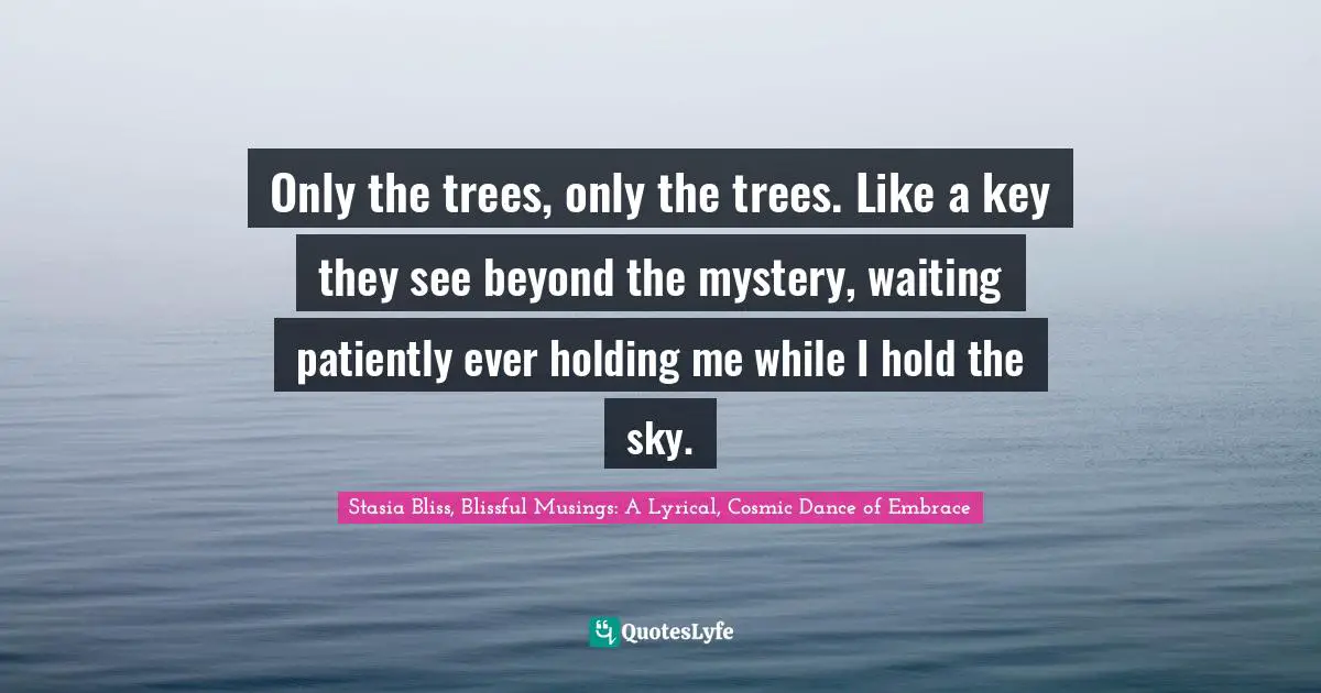 Only the trees, only the trees. Like a key they see beyond the mystery, waiting patiently ever holding me while I hold the sky.