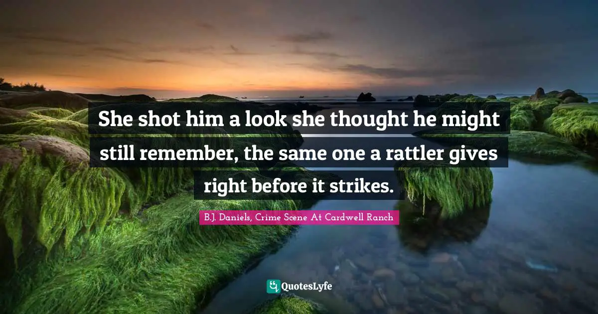She shot him a look she thought he might still remember, the same one a rattler gives right before it strikes.