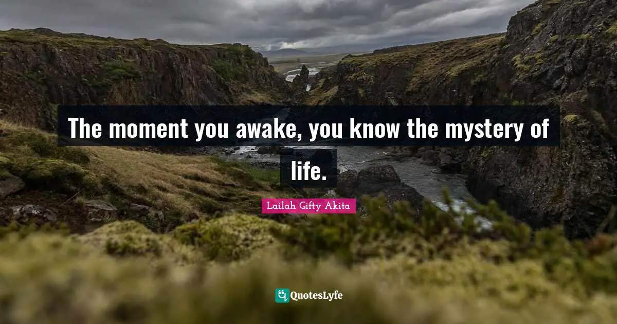 The moment you awake, you know the mystery of life.