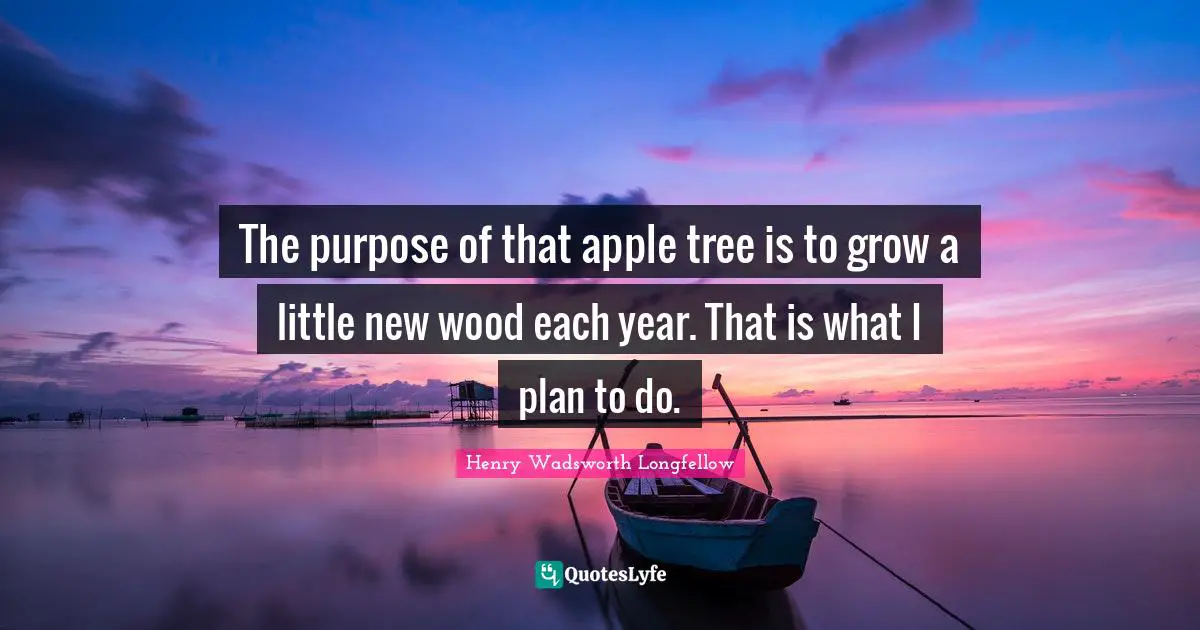 The purpose of that apple tree is to grow a little new wood each year. That is what I plan to do.
