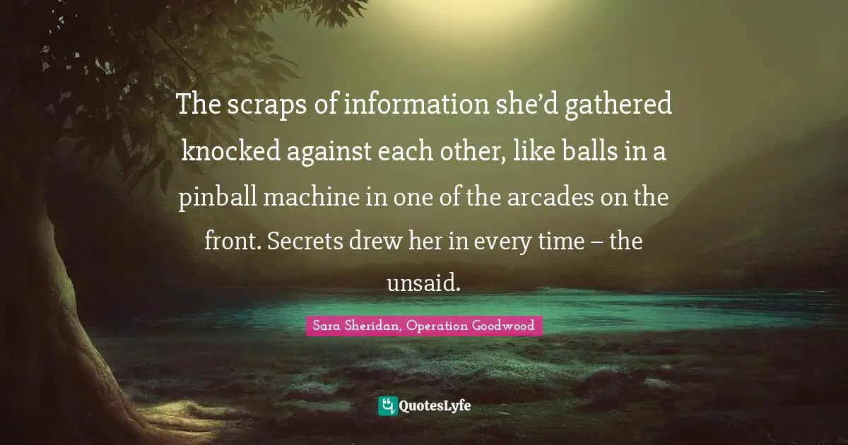 The scraps of information she’d gathered knocked against each other, like balls in a pinball machine in one of the arcades on the front. Secrets drew her in every time – the unsaid.