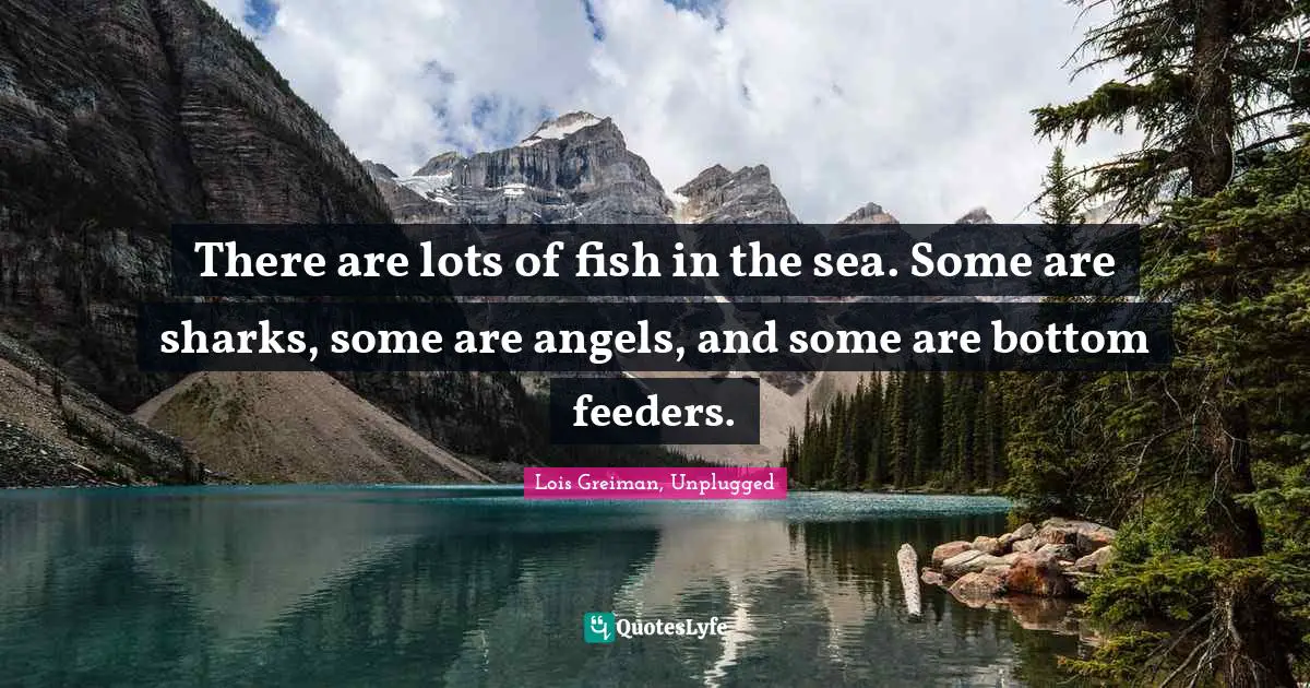 There are lots of fish in the sea. Some are sharks, some are angels, and some are bottom feeders.