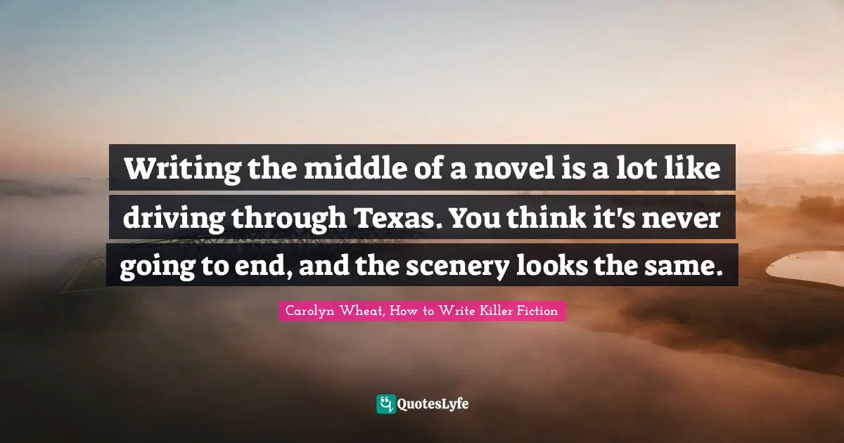 Writing the middle of a novel is a lot like driving through Texas. You think it's never going to end, and the scenery looks the same.